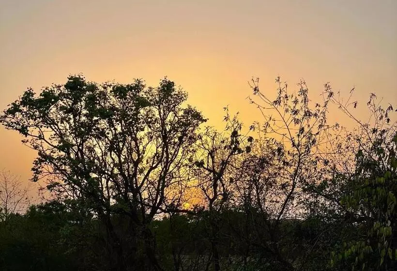 リゾートホテル The Postcard Gir Wildlife Sanctuary