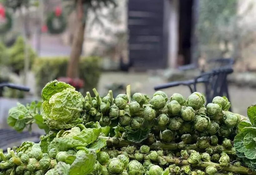 Löffelmühle Boutique Bed And Breakfast