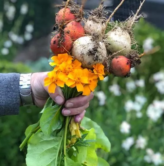 Löffelmühle Boutique Bed And Breakfast