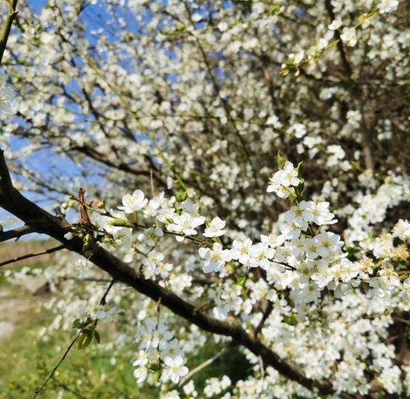 Bed and Breakfast Gl. Havn Bnb