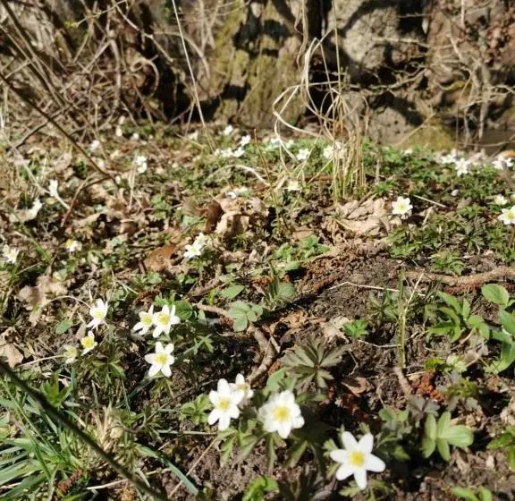 Aamiaismajoitus (B&B) Gl. Havn Bnb