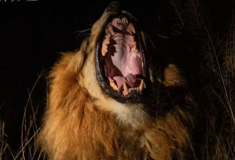 هتل Leopard Sands, Kruger Park