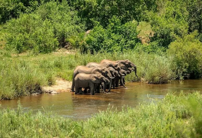 هتل Leopard Sands, Kruger Park