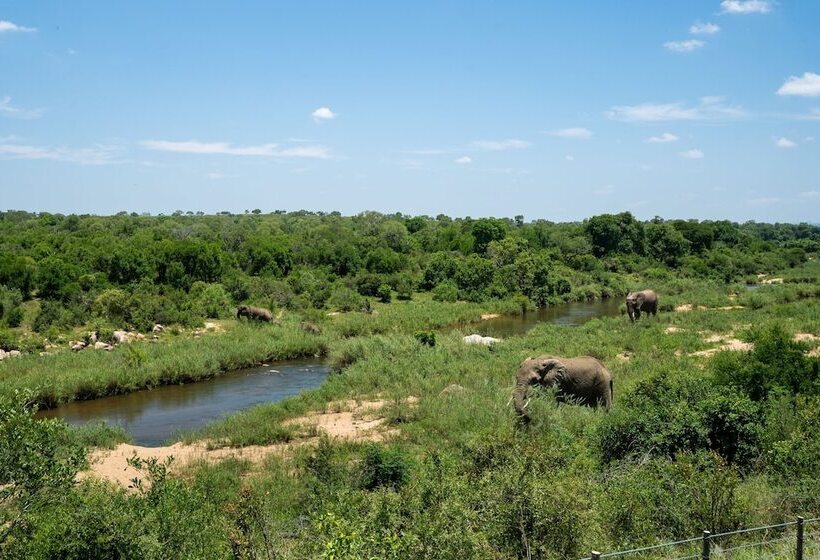 Отель Leopard Sands, Kruger Park