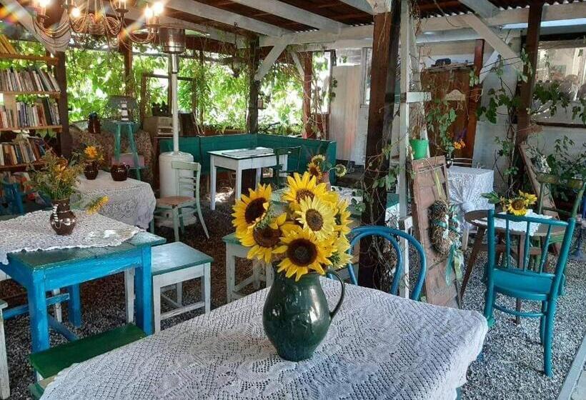 ペンション Piac Vendégház