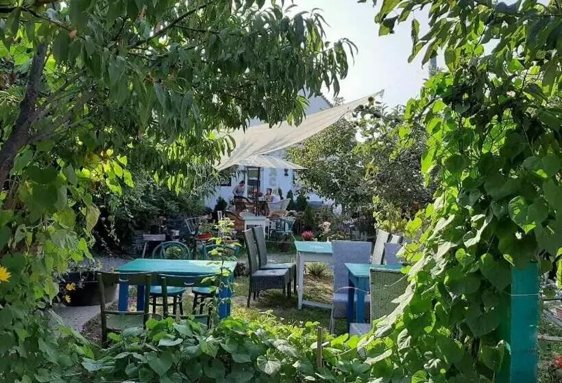 ペンション Piac Vendégház