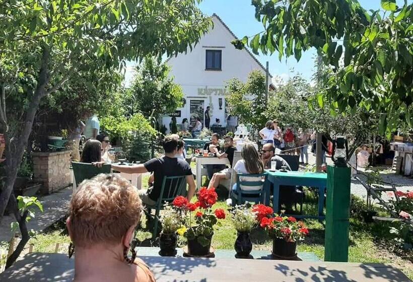 ペンション Piac Vendégház