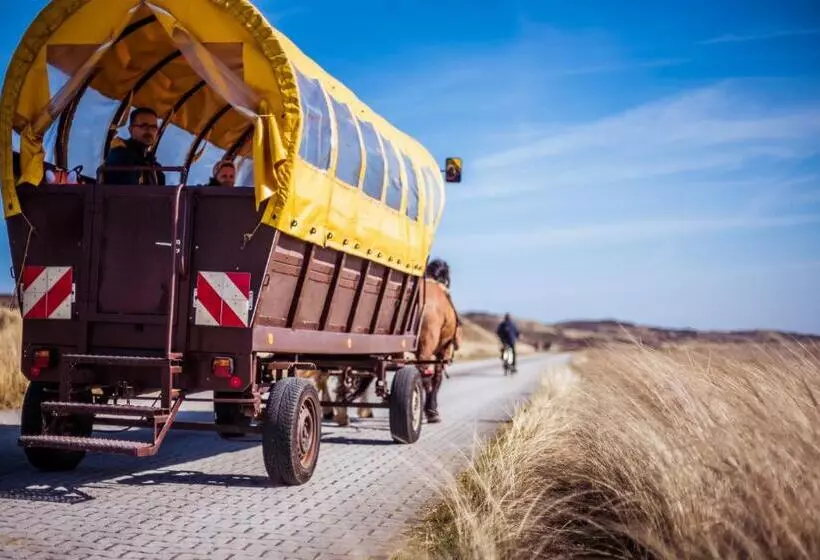 酒店 Atlantic Juist