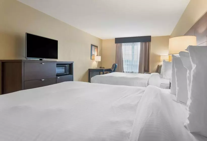 Best Western Plus Saint John Hotel & Suites