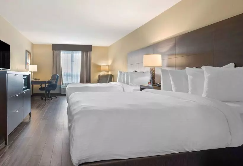 Best Western Plus Saint John Hotel & Suites