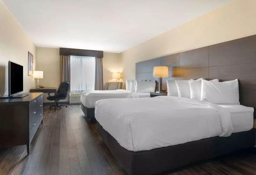 Best Western Plus Saint John Hotel & Suites