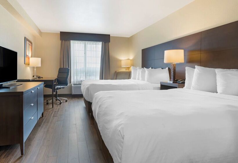 Best Western Plus Saint John Hotel & Suites