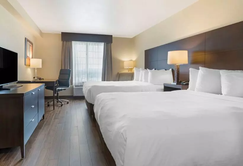 Best Western Plus Saint John Hotel & Suites