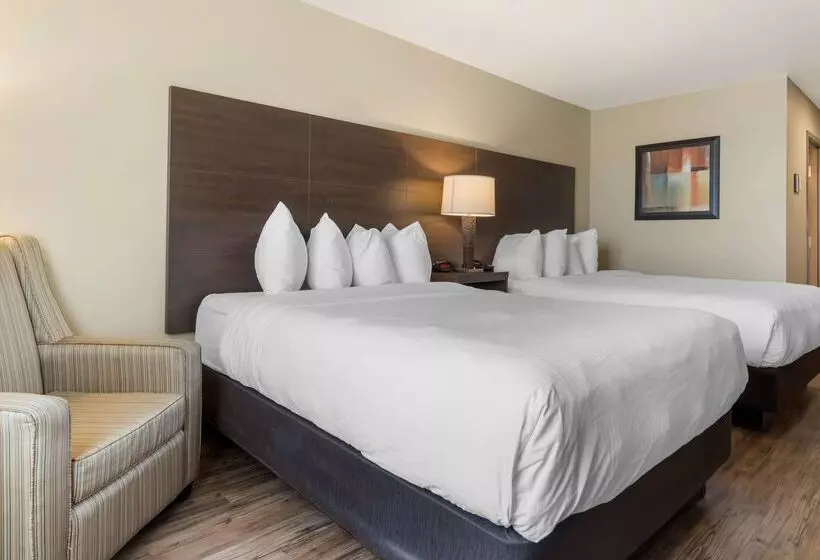 Best Western Plus Saint John Hotel & Suites