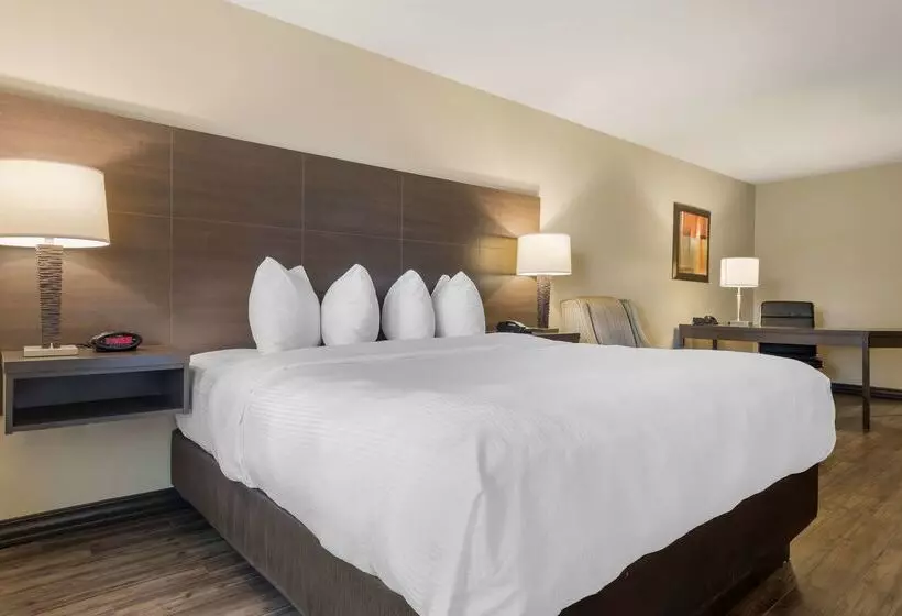 Best Western Plus Saint John Hotel & Suites