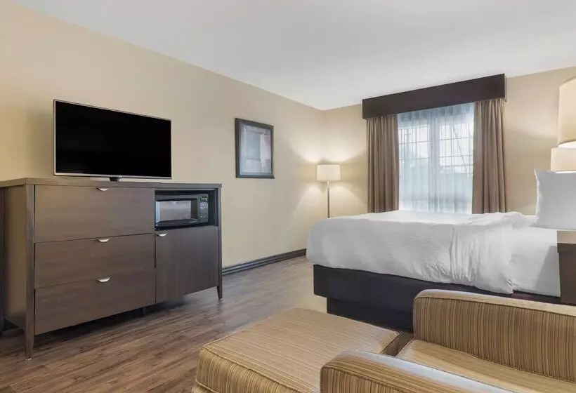 Best Western Plus Saint John Hotel & Suites