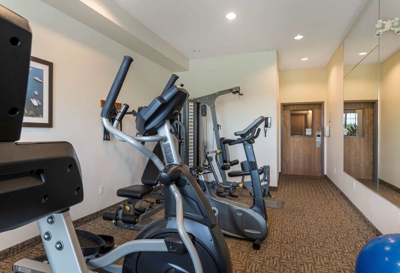 Best Western Plus Saint John Hotel & Suites