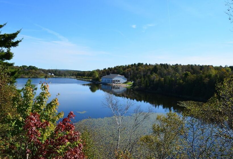 Best Western Plus Saint John Hotel & Suites