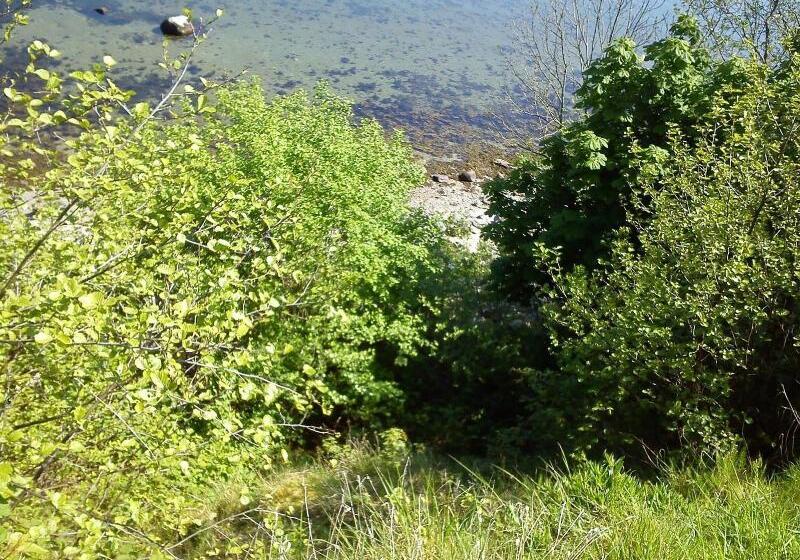 酒店 Gastehaus Flensburg Engelsby