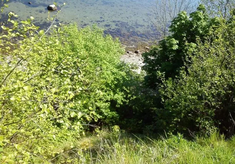 בית מלון כפרי Gastehaus Flensburg Engelsby