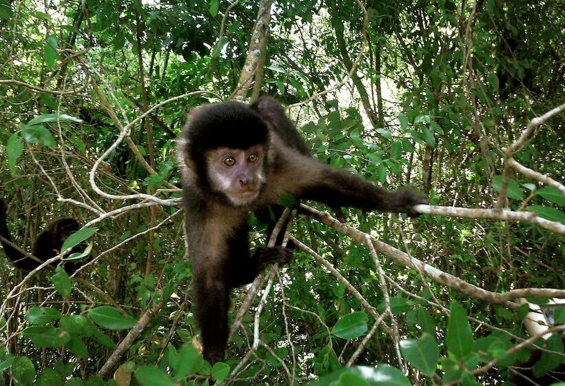 Hotel La Reserva Virgin Lodge