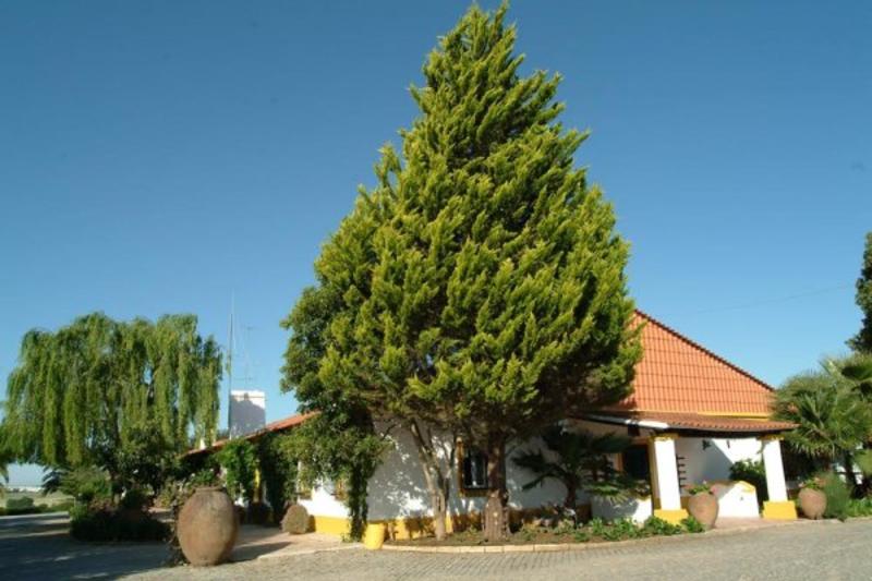 乡村酒店  Herdade Dos Coelheiros Sociedade Agrícola