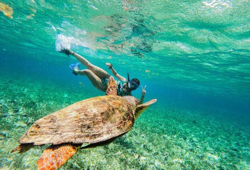 Bella S Backpackers Hostel