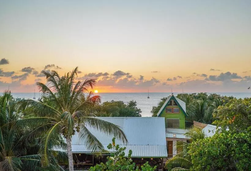 Bella S Backpackers Hostel