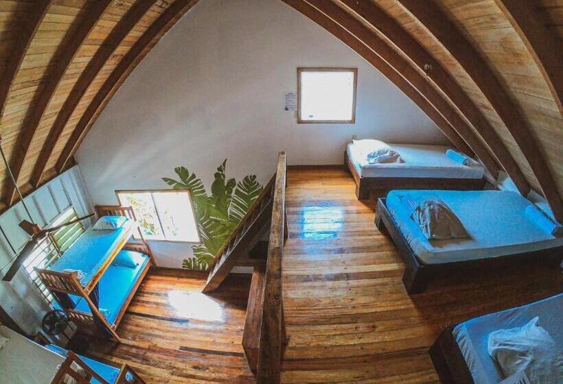 Bella S Backpackers Hostel