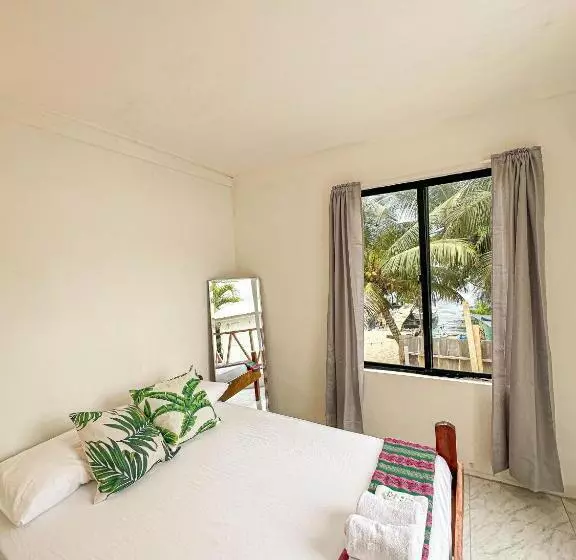 Bella S Backpackers Hostel