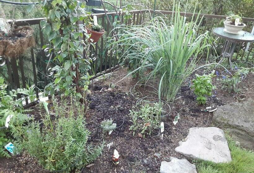 Pensão 女性専用ゲストハウス 大眞庵 源泉かけ流