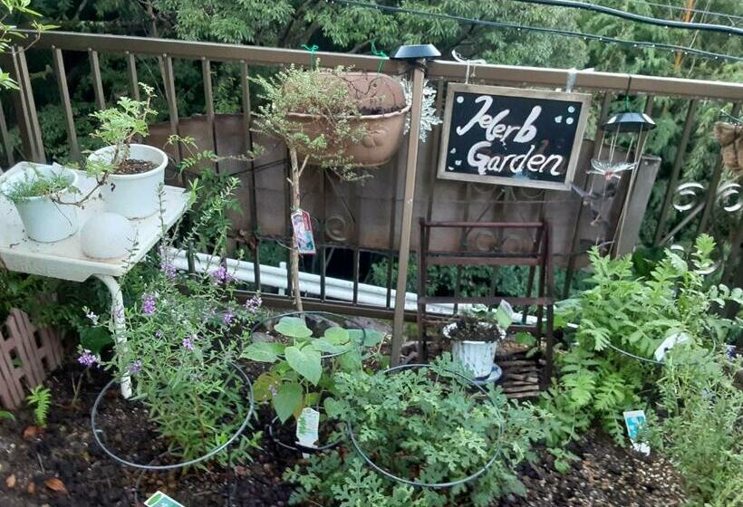 Pensão 女性専用ゲストハウス 大眞庵 源泉かけ流