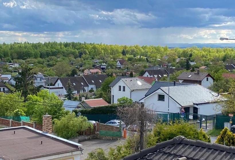 ペンション Penzion Pod Lesem