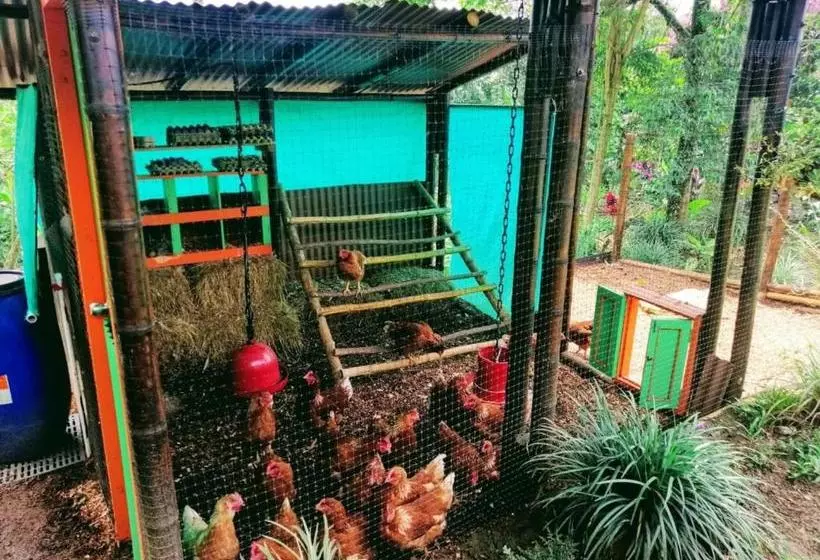 ホテル Finca Jardãƒæ’ã‚ân Secreto By Rotamundos