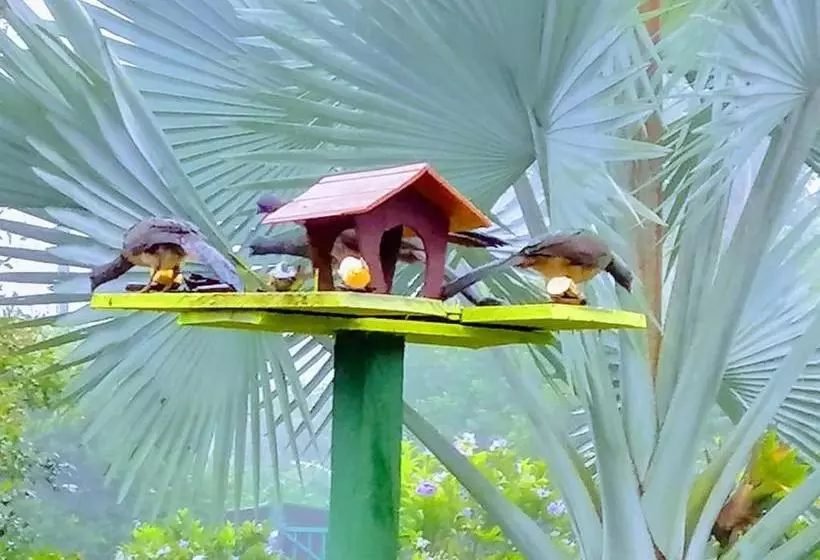 ホテル Finca Jardãƒæ’ã‚ân Secreto By Rotamundos
