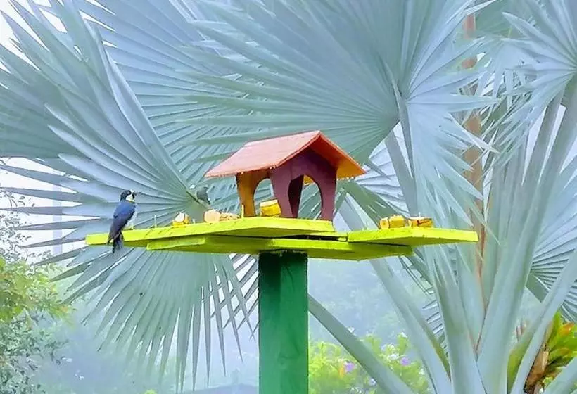 ホテル Finca Jardãƒæ’ã‚ân Secreto By Rotamundos