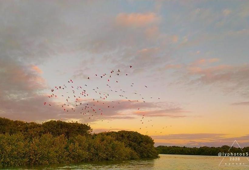 Szálloda Pousada Iansã