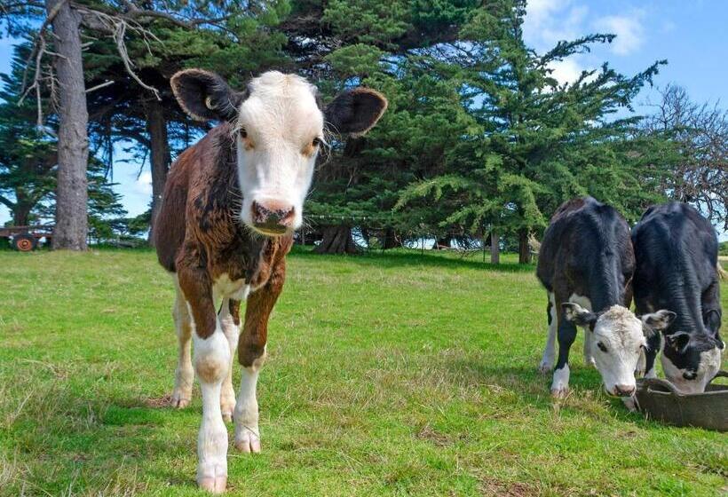 ホテル The Stables