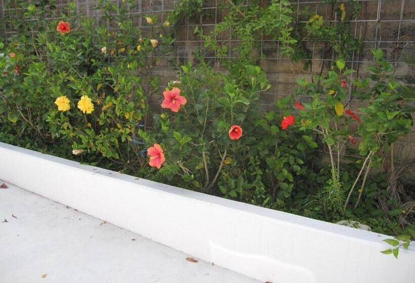 ホテル ハイビスヤブ