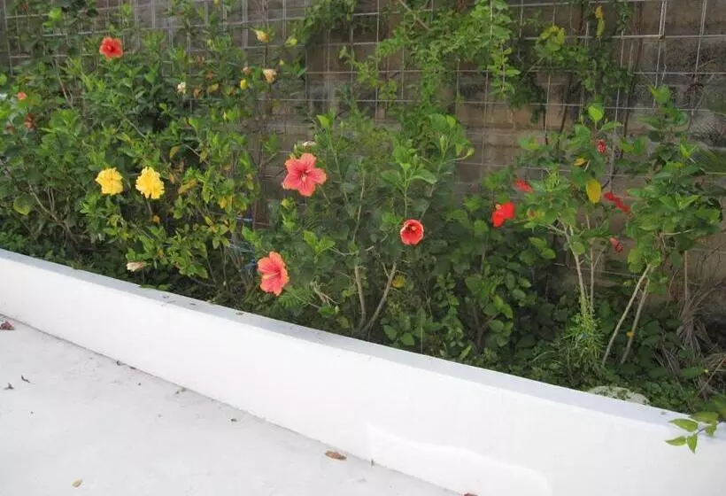 ホテル ハイビスヤブ