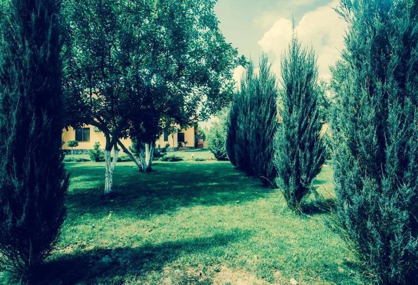 Общежитие Sunrise Boutique