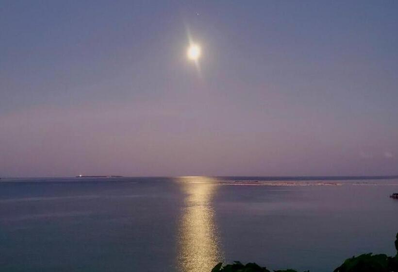 ペンション 月の道テラス