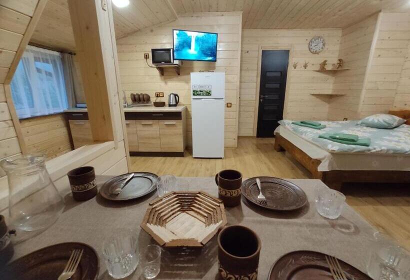 Pensiune нота карпат