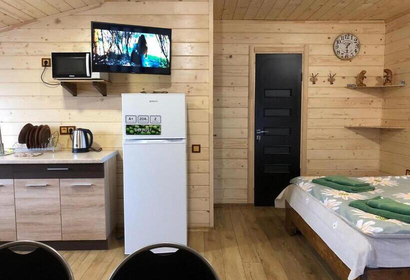 Pensiune нота карпат