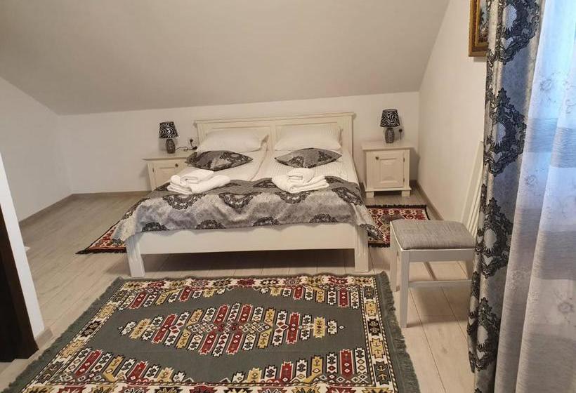 بنسيون Casa Alexandru – Locul în Care Te Simți Acasă