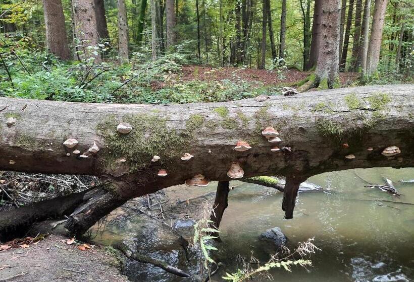 旅馆 Chambtaler Hof