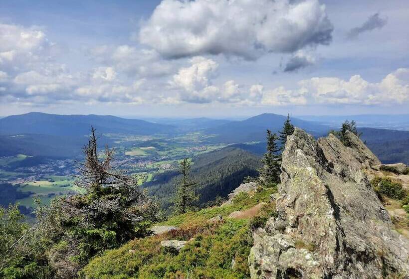 旅馆 Chambtaler Hof