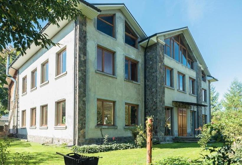 Bed & Breakfast старе подвір я