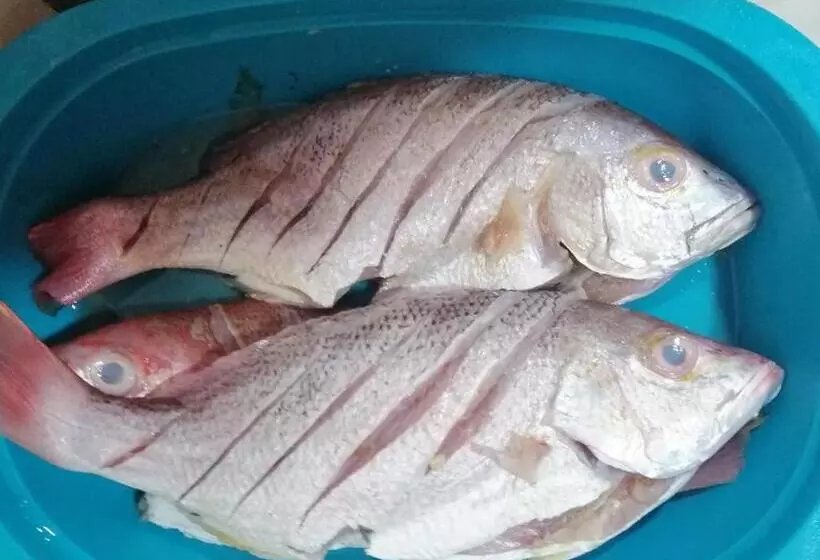 ホテル Obega Pacific