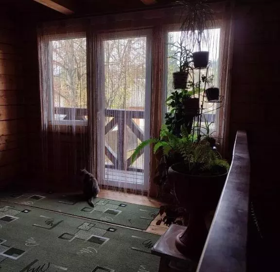 Majatalo садиба гуцульський двір